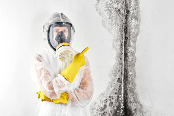 Best Forensic Mold Investigation  in Adamsville, AL